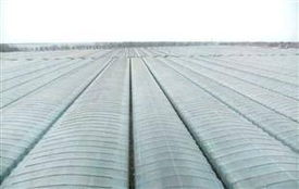 大棚膜选购指南 厂家、价格与批发全解析
