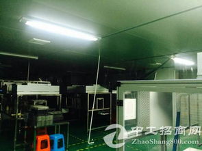 黄江镇大型电子厂二楼无尘车间2350㎡分租，助力电子科技企业高质量发展